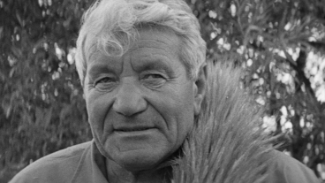 A Life (1972)